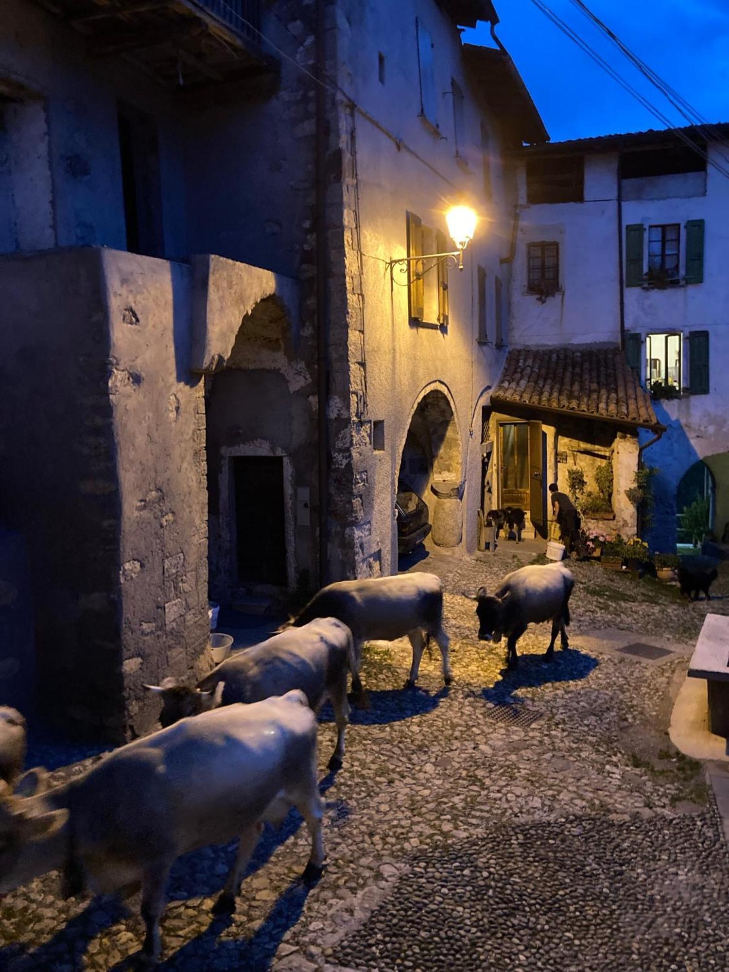 A Casa Di Gianni E Mari Bed & Breakfast Vestone Екстериор снимка